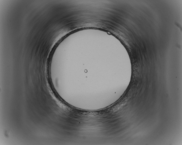 X0000098050991200804251059