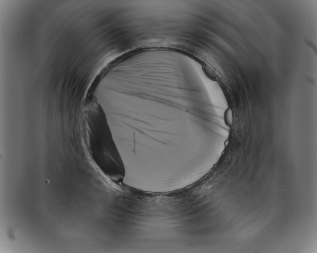 X0000098050992200804251059