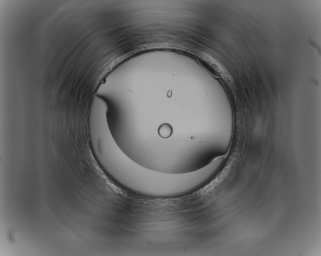 X0000098050993200804251059