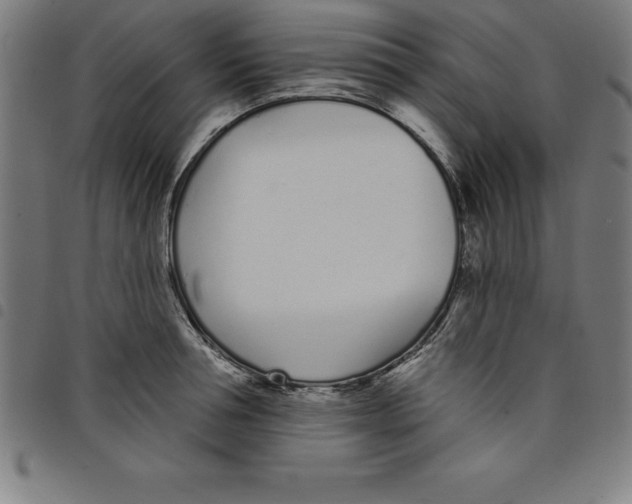 X0000098050994200804251059