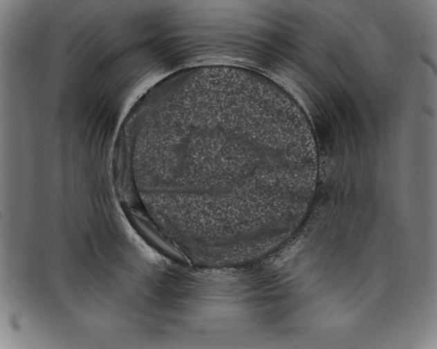 X0000098050995200804251059