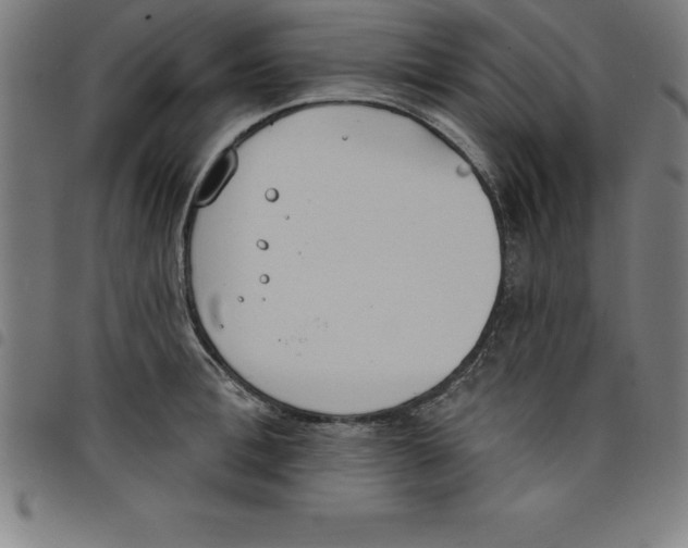 X0000098050996200804251059