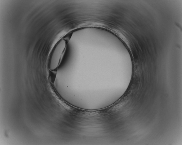 X0000098050997200804251059