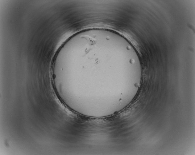 X0000098050998200804251059