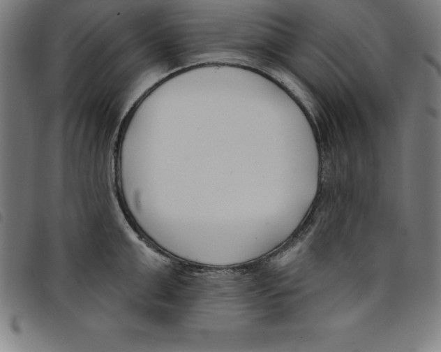 X0000098050999200804251059