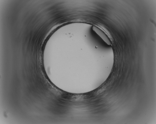 X0000098051000200804251059