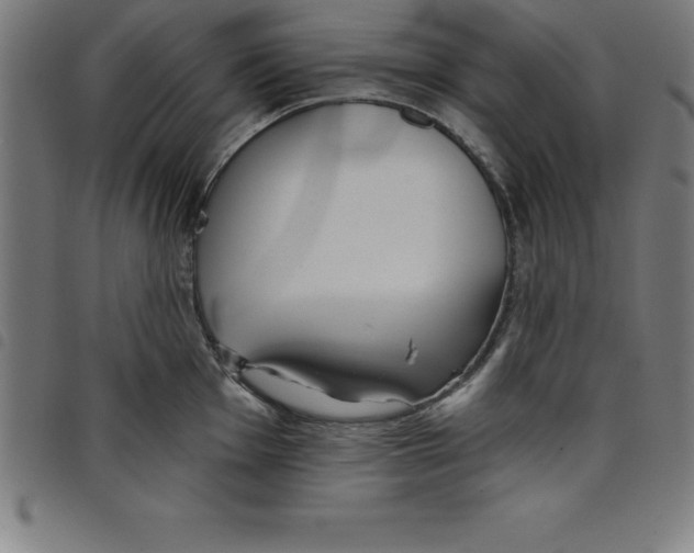 X0000098051001200804251059