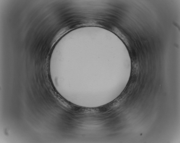 X0000098051002200804251059