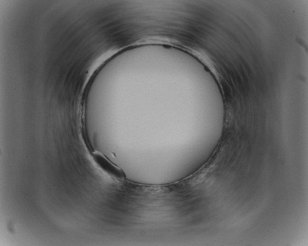 X0000098051003200804251059