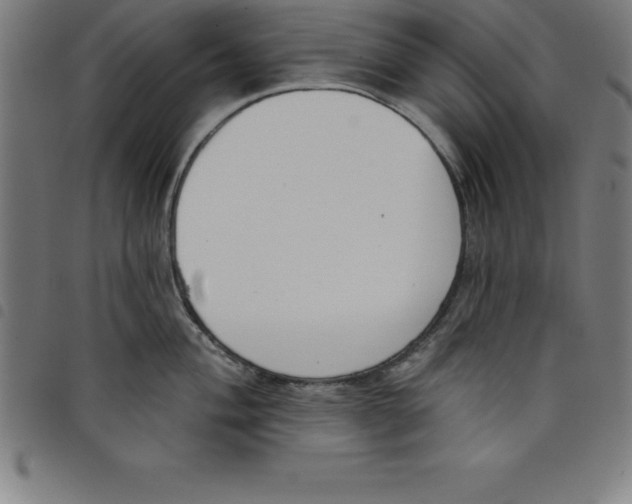 X0000098051004200804251059