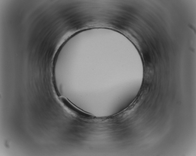 X0000098051005200804251059