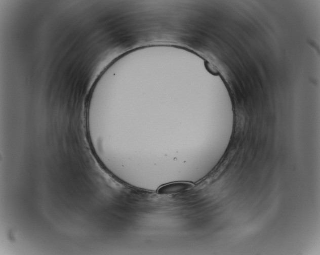 X0000098051006200804251059