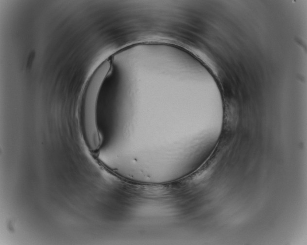 X0000098051007200804251059