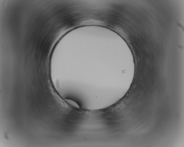 X0000098051008200804251059