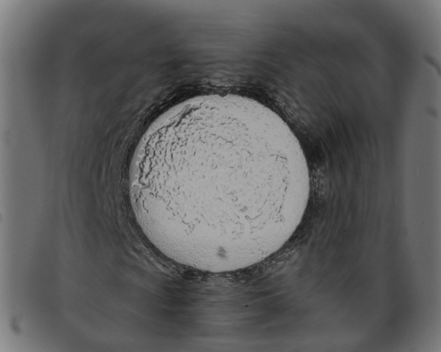 X0000098051009200804251058