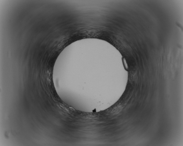 X0000098051010200804251058