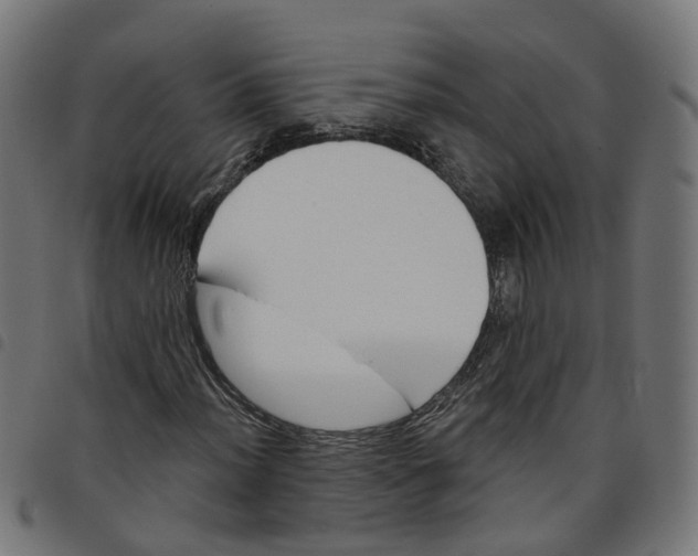 X0000098051012200804251058