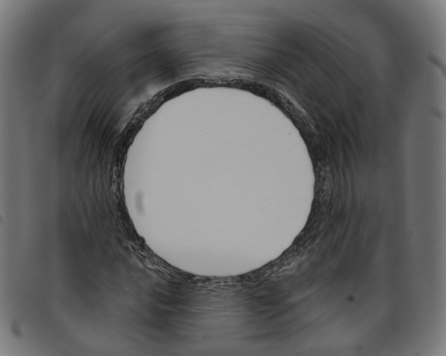 X0000098051016200804251059