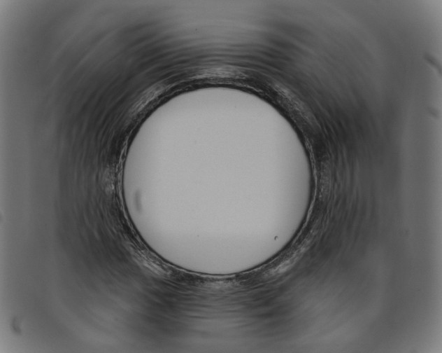 X0000098051017200804251059