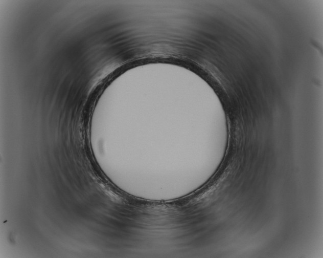 X0000098051018200804251059