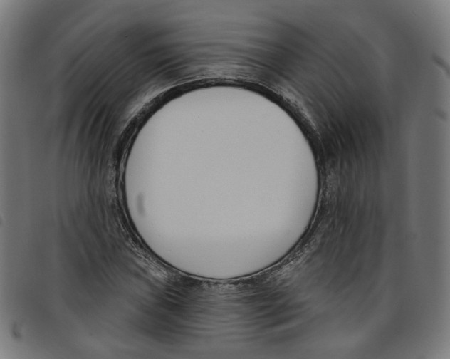 X0000098051019200804251059