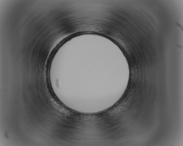 X0000098051020200804251059