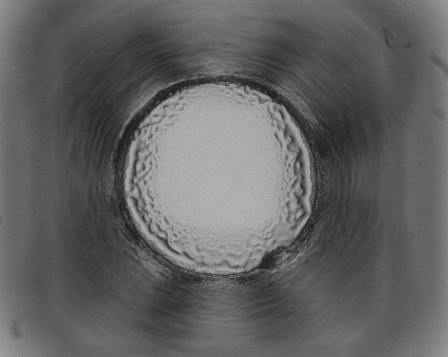 X0000098051023200804251059