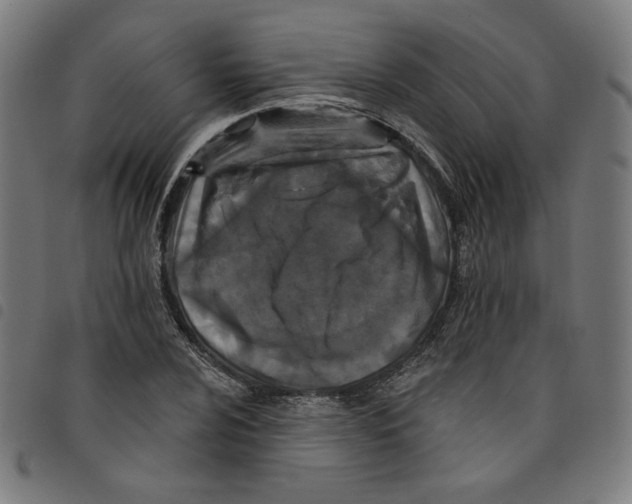 X0000098051024200804251059