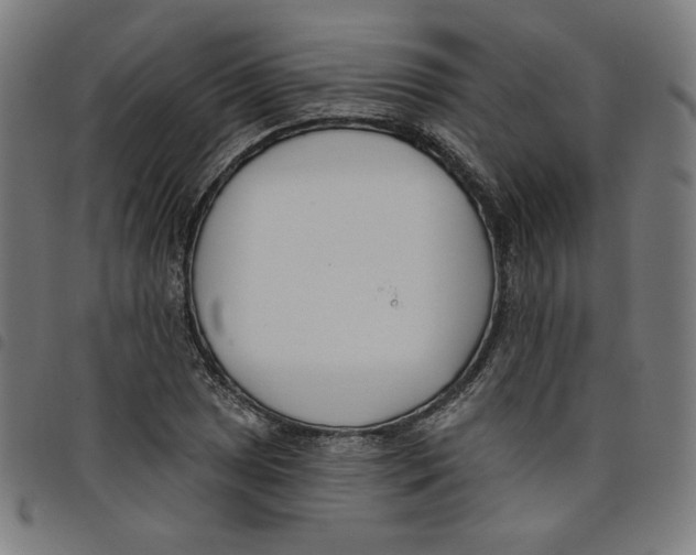 X0000098051025200804251059