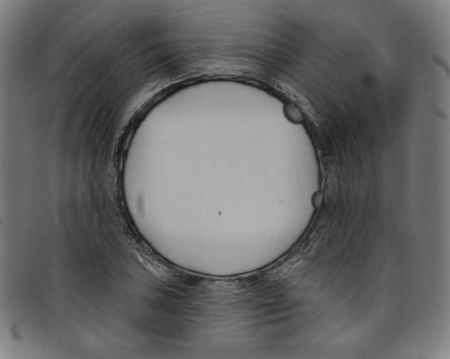 X0000098051027200804251059