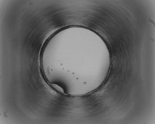 X0000098051028200804251059