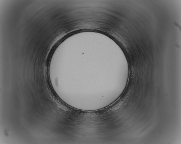 X0000098051029200804251059