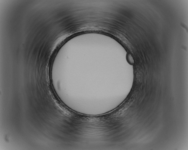 X0000098051030200804251059