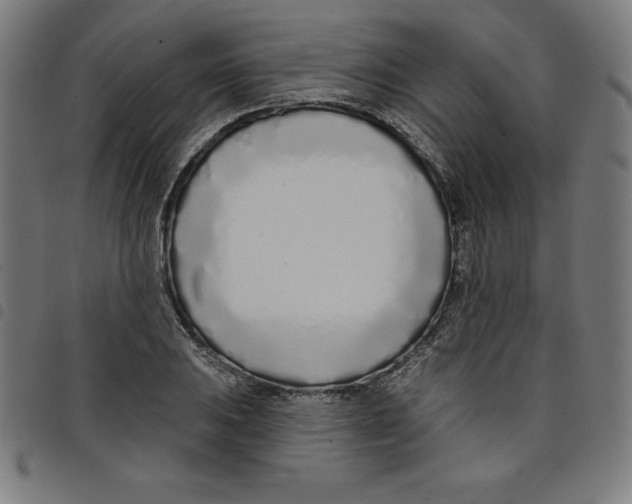 X0000098051031200804251059