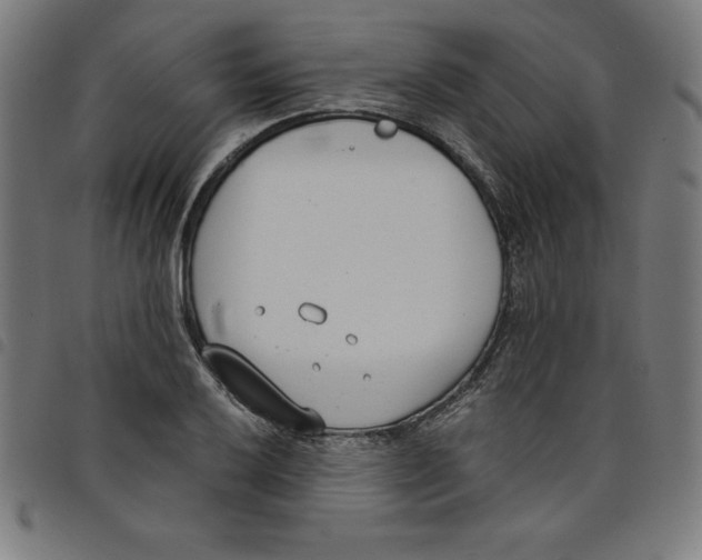 X0000098051032200804251059