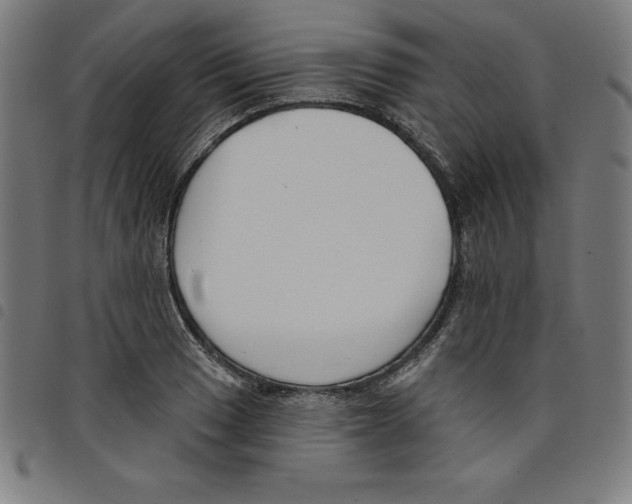 X0000098051033200804251059