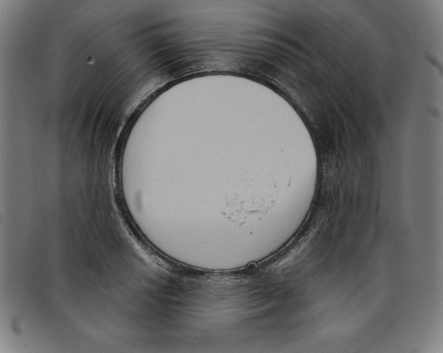 X0000098051034200804251059