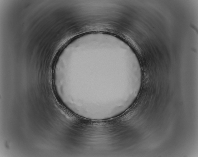 X0000098051035200804251059