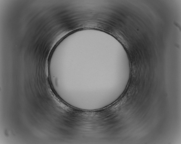 X0000098051036200804251059