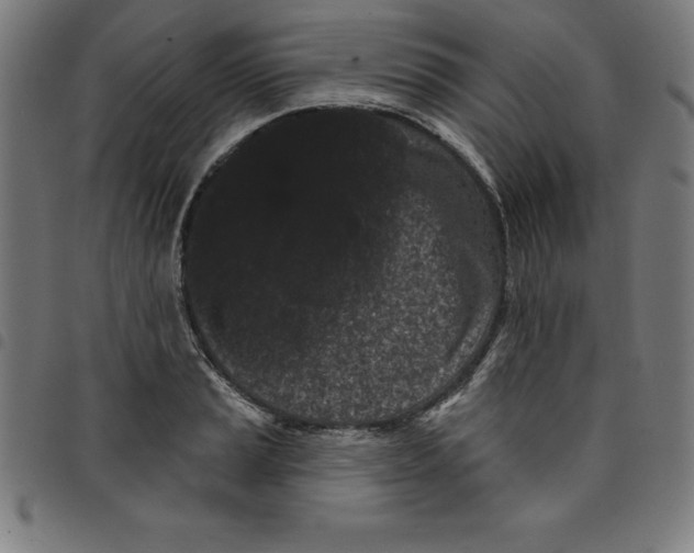 X0000098051037200804251059