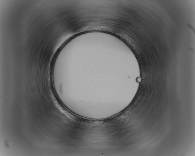 X0000098051038200804251059