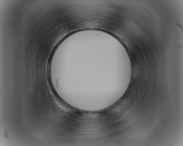 X0000098051039200804251059