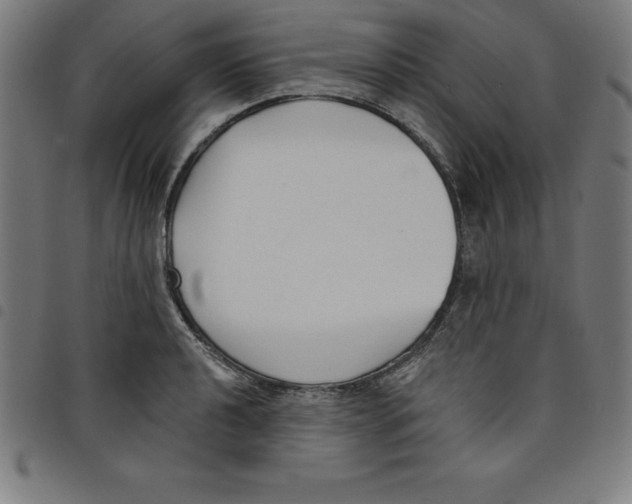 X0000098051040200804251059