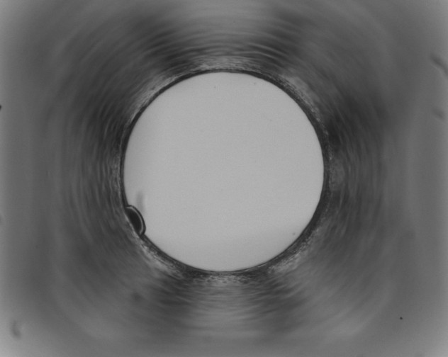 X0000098051041200804251059