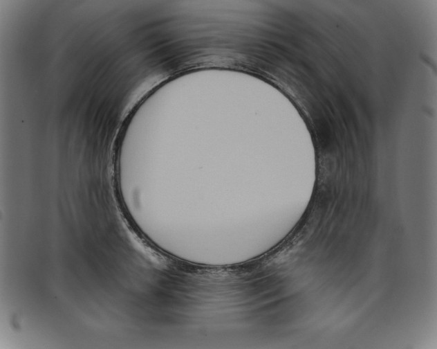 X0000098051042200804251059