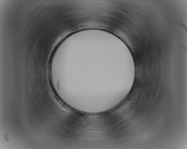 X0000098051043200804251059