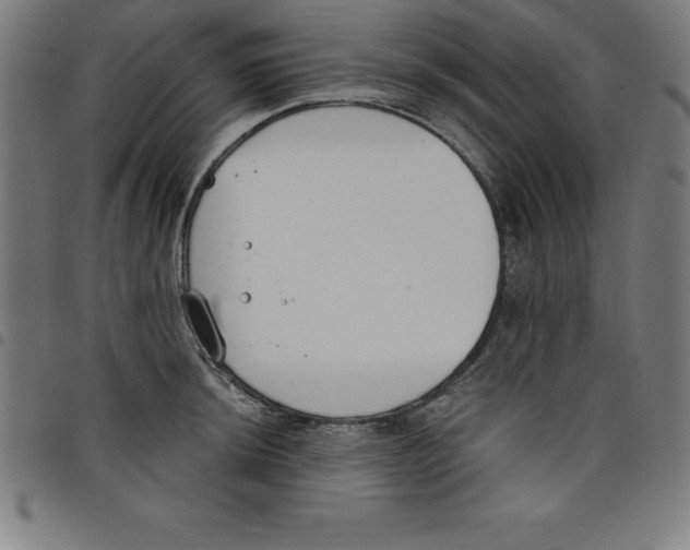 X0000098051044200804251059