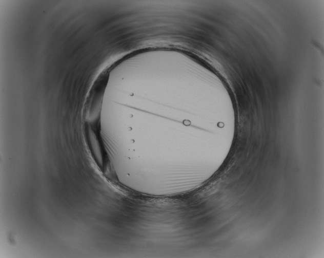 X0000098051045200804251059