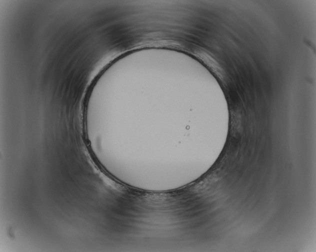 X0000098051046200804251059