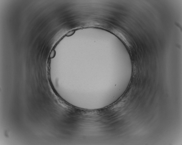 X0000098051047200804251059